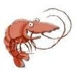 Shrimp Sauce coupons and promo codes