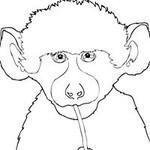 Supercoloring.com coupons and promo codes