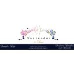 Surrender to Chance coupons and promo codes