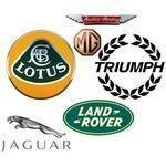 The Wedge Shop coupons and promo codes