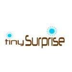 Tinysurprise.com coupons and promo codes