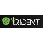 Tridenteer coupons and promo codes