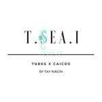 T SEA I coupons and promo codes