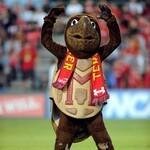 Shop.umterps.com coupons and promo codes