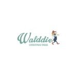 Walddie coupons and promo codes