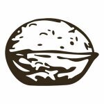 Walnut Studiolo coupons and promo codes
