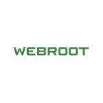 Webroot coupons and promo codes