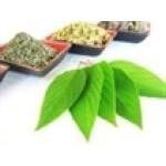 Wildroseherbs.com coupons and promo codes