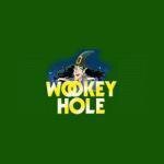 Wookey Hole Caves coupons and promo codes