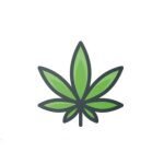 World Of Hemp coupons and promo codes
