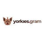 Yorkies Gram Codes coupons and promo codes