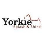 Yorkie Splash and Shine coupons and promo codes