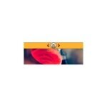 Yours In Soap coupons and promo codes