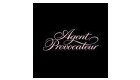 Agent Provocateur