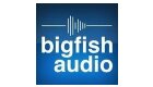 Big Fish Audio