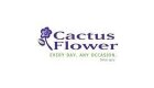 Cactus Flower