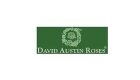 David Austin Roses