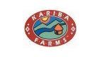 Kariba Farms