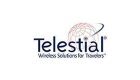 Telestial
