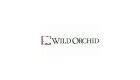 Wild Orchid