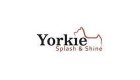 Yorkie Splash and Shine